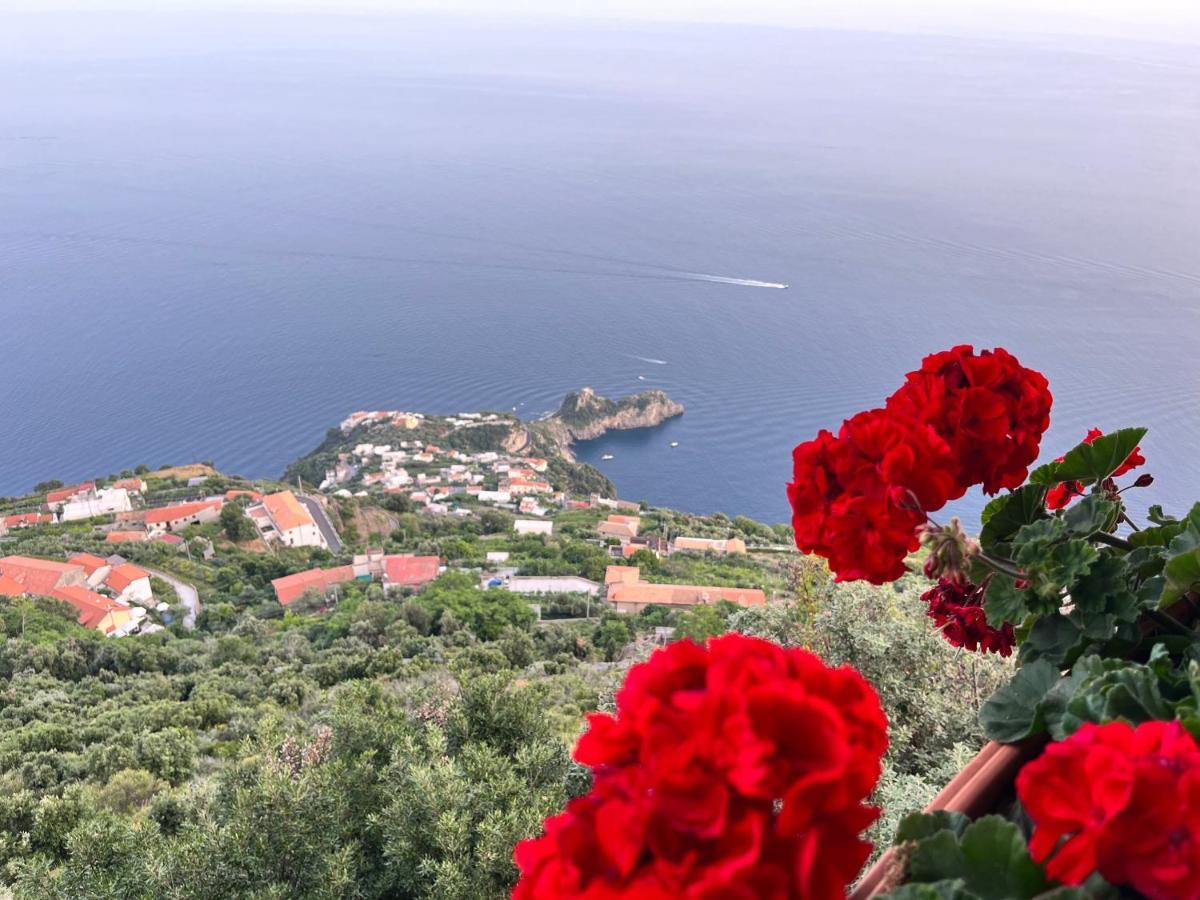 Agerola Dreams Daire Dış mekan fotoğraf